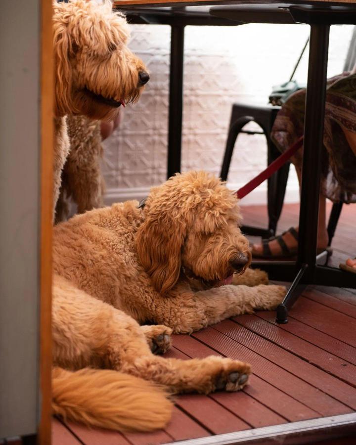 Breakfast Cafe Hawthorn